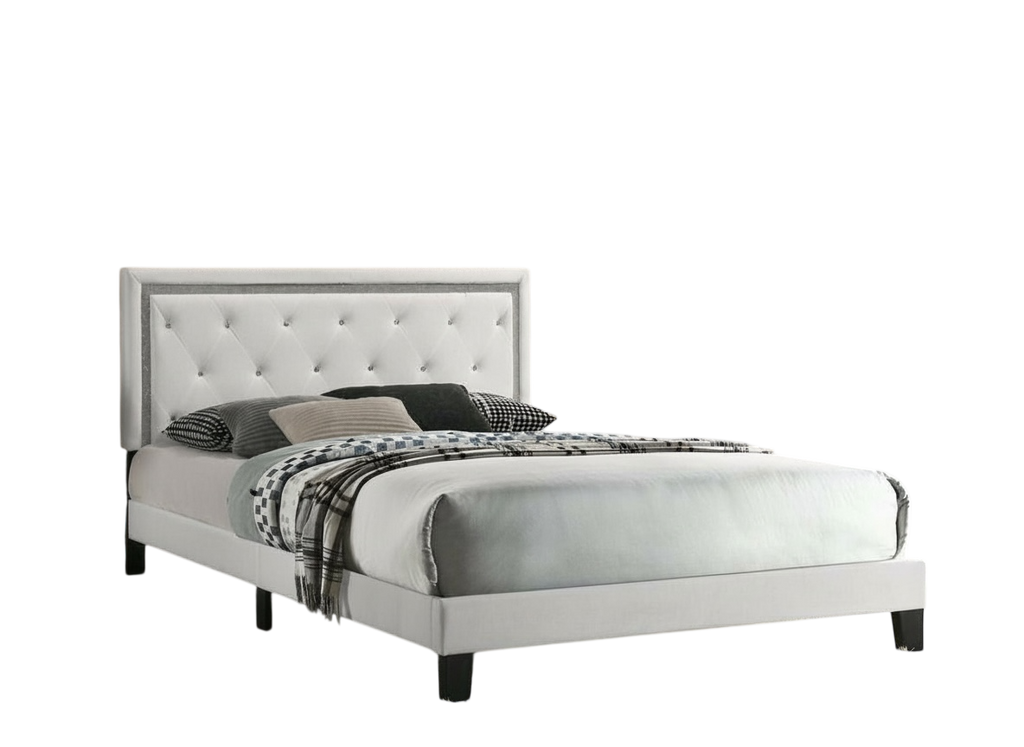 Starter Essentials Package